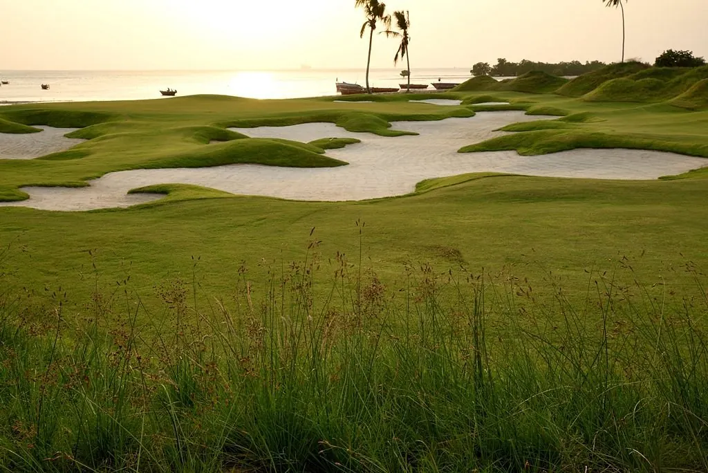 Links bunkers and palm trees beside the Indian Ocean at sunset