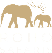 Roho Safaris