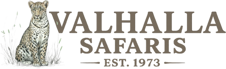 Valhalla Safaris